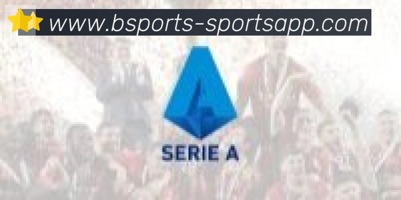 bsports体育合作伙伴