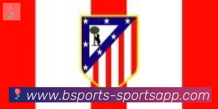 bsports体育合作伙伴