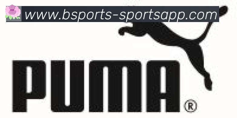 bsports体育合作伙伴